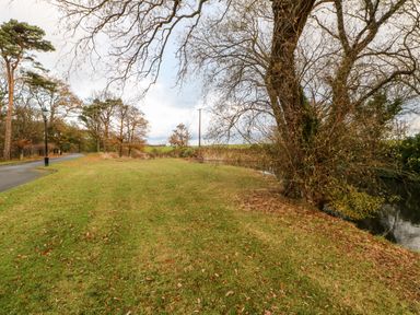 A grassy area next to a road and a lake with trees around at Daffodil Lodge in Saltburn-by-the-Sea