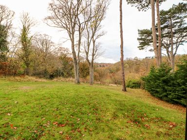 A grassy area with scattered leaves and tall trees with a viaduct in the background at Daffodil Lodge in Saltburn-by-the-Sea