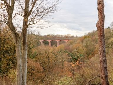 A landscape with trees and a brick bridge in the background at Daffodil Lodge in Saltburn-by-the-Sea