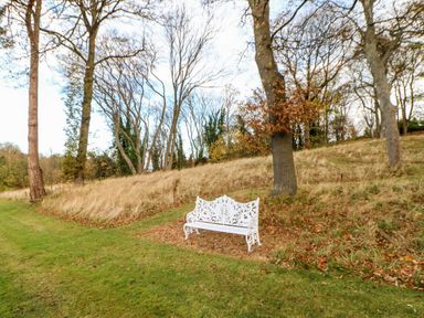 A white ornate bench on grass near trees and dry grass at Daffodil Lodge in Saltburn-by-the-Sea