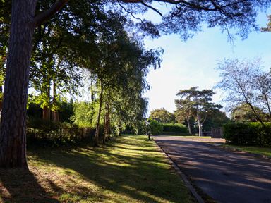 A path lined with trees and grass at Daffodil Lodge Saltburn-by-the-Sea
