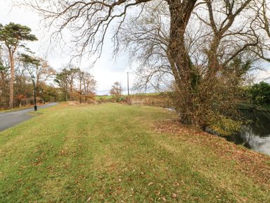 A grassy area with a tree and water nearby at Daffodil Lodge Saltburn-by-the-Sea