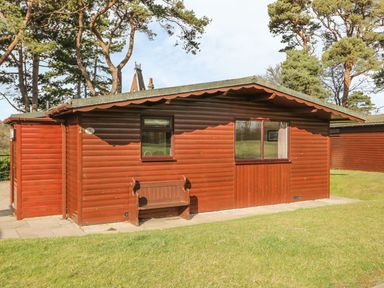 An exterior view of a wooden cabin with two windows a bench on a paved area and trees in the background at Orchid Lodge in Saltburn-by-the-Sea