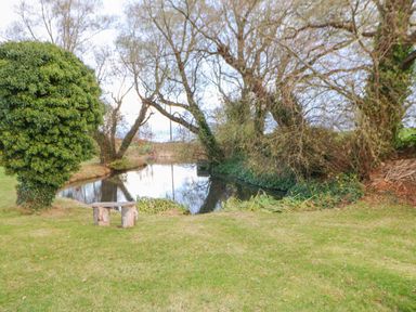 A small pond surrounded by trees and grass with a wooden bench near the water at Orchid Lodge in Saltburn-by-the-Sea