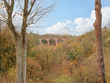 A forested area with trees and a red brick viaduct in the background under a blue sky