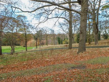 A landscape with trees and fallen leaves and a pathway in a park