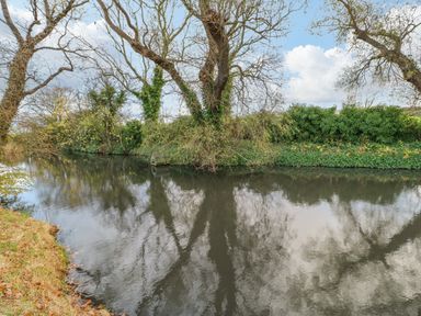 A river with trees on the bank and green shrubs at Orchid Lodge in Saltburn-by-the-Sea