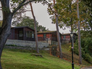 An outdoor area with cabins and trees at Orchid Lodge in Saltburn-by-the-Sea