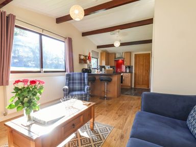 A living room with a sofa, table, and kitchen area at Orchid Lodge Saltburn-by-the-Sea
