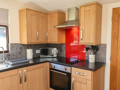 A kitchen with wooden cupboards and appliances at Orchid Lodge in Saltburn-by-the-Sea