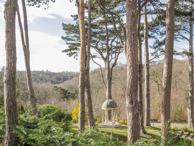 A wooded area with tall trees a small gazebo like structure and a bridge in the background at Foxglove Lodge in Saltburn-By-The-Sea
