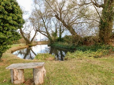 A small pond surrounded by trees and grass with a wooden bench made from logs in the foreground at Foxglove Lodge in Saltburn-By-The-Sea