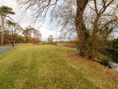 A grassy area with trees next to a small body of water and a road with street lamps at Foxglove Lodge in Saltburn-By-The-Sea