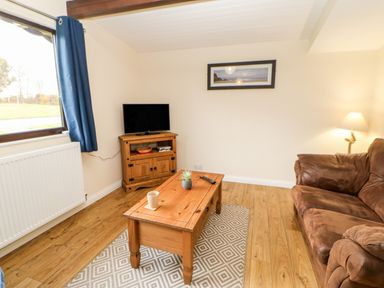 A living room with a brown sofa wooden coffee table with cup and plant and a small television on a wooden stand at Foxglove Lodge in Saltburn-By-The-Sea