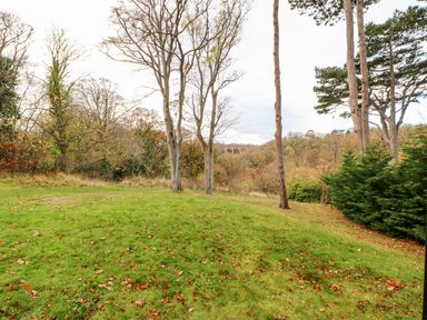 A grassy area with fallen leaves and trees in front of a wooded landscape with a distant viaduct at Foxglove Lodge in Saltburn-By-The-Sea