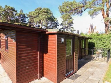 An exterior view of a wooden cabin with surrounding trees at Foxglove Lodge Saltburn-By-The-Sea