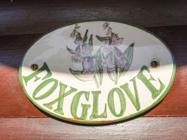 A sign with the word Foxglove and a flower illustration at Foxglove Lodge in Saltburn-By-The-Sea