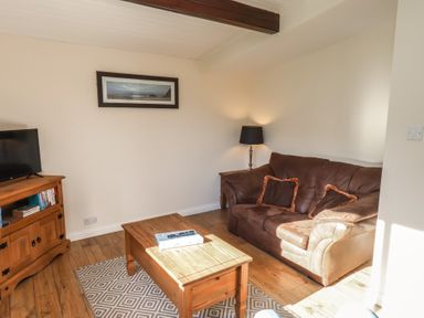 A living room with a sofa, coffee table, and television at Foxglove Lodge Saltburn-By-The-Sea