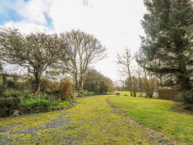 A gravel and grass path surrounded by trees and shrubs in a garden at Higher Lampra in Mullion
