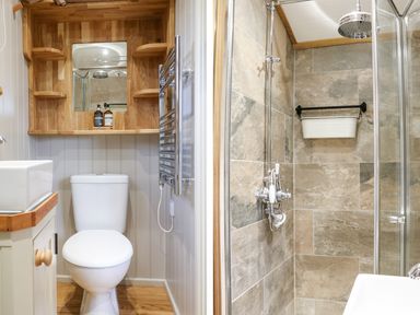 A bathroom with a toilet sink and wooden shelves on one side and a glass-enclosed shower with tiled walls and a rain showerhead on the other side at Little Silver Leaf in High Bickington