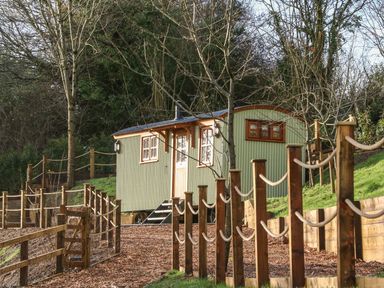 A small green corrugated metal cabin with wooden trim in a fenced outdoor area with trees at Little Silver Leaf in High Bickington