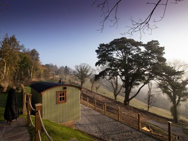 A small green corrugated metal shed beside a gravel path and wooden fence in a rural landscape at Little Silver Leaf in High Bickington