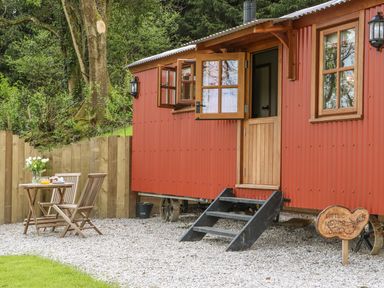 An outdoor seating area with a wooden table and chairs next to a red cabin with open windows and door at Little Silver Owl in High Bickington
