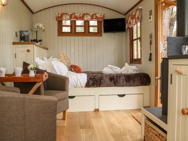 A small room with a bed with pillows and robes a chair with a tray of cups a wood stove and windows with orange patterned curtains at Little Silver Owl in High Bickington
