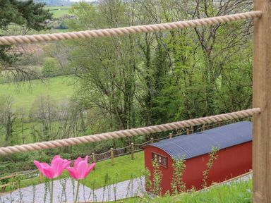 A red corrugated building with a curved roof near a green landscape with trees and pink flowers in the foreground at Little Silver Owl in High Bickington