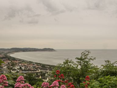 A coastal town with houses near the sea and flowers in the foreground at Sea-Prize View in Old Colwyn