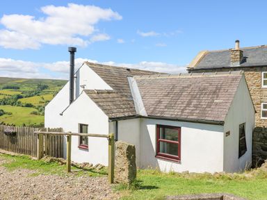 A small white cottage with a tiled roof and a chimney in a rural setting at Dale View Cottage in Allendale near Hexham