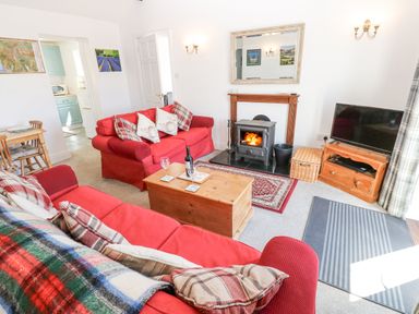 A living room with red sofas a wood burning stove a wooden coffee table and a television at Dale View Cottage in Allendale near Hexham