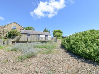 A stone house with a wooden fence and a gravel path surrounded by bushes and plants at Dale View Cottage in Allendale near Hexham