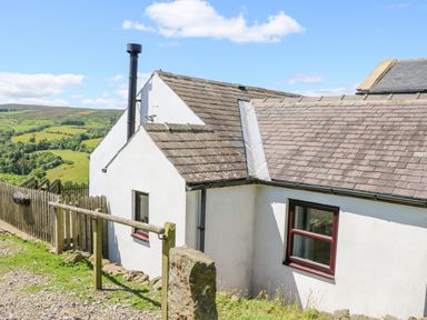 The exterior of a white cottage with a tiled roof and a metal chimney in a rural area with green hills in the background at Dale View Cottage in Allendale near Hexham