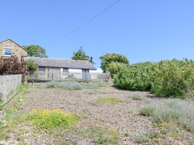 A gravel yard with wildflowers and bushes in front of a stone and white cottage at Dale View Cottage in Allendale near Hexham