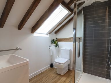 A bathroom with a toilet, shower, sink, and a skylight window at Grange Barn in Gedding near Felsham