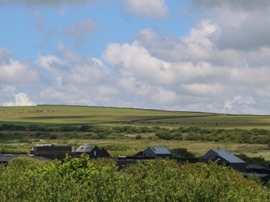 A rural landscape with fields cattle and modern buildings among trees at Willow Retallack in Retallack near St Columb Major