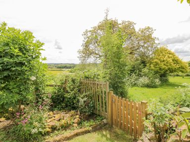 A garden with a wooden gate surrounded by plants and trees at Priors Mead in Claydon near Cropredy