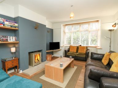 A living room with a wood stove fireplace sofas and a coffee table at Sandsfoot Rest in Weymouth
