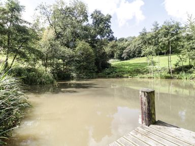 A small pond surrounded by trees and grass with a wooden dock in front at Foxglove in Sticklinch West Pennard Glastonbury