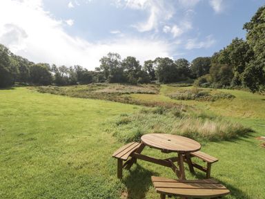 A wooden picnic table on a grassy field with trees and shrubs in the background at Foxglove in Sticklinch West Pennard Glastonbury