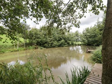 A pond surrounded by trees and greenery with a wooden dock at Foxglove in Sticklinch West Pennard Glastonbury