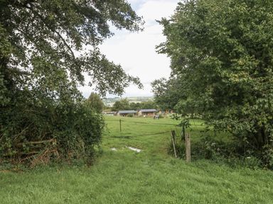 A grassy field with trees on both sides and horses grazing near wooden buildings at Foxglove in Sticklinch West Pennard Glastonbury