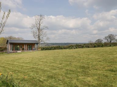 A small wooden house with a curved roof on a grassy hill with a tree nearby at Foxglove in Sticklinch West Pennard Glastonbury