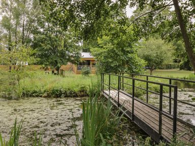 A wooden footbridge over a pond with surrounding trees and vegetation at The Barn in Droitwich Spa