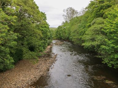 A river flowing between two banks covered with green trees and a rocky shore at The Garden Cottage in West Woodburn