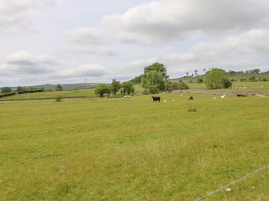 A green pasture with cows and sheep under a cloudy sky at The Garden Cottage in West Woodburn