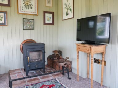 A room with a wood-burning stove on a brick hearth a small wooden table holding a television and framed botanical prints on the wall at Crows Cabin in Gloucester