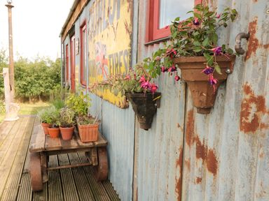 A rustic outdoor area with potted plants on a wooden cart and wall-mounted flower pots on a corrugated metal wall at Crows Cabin in Gloucester