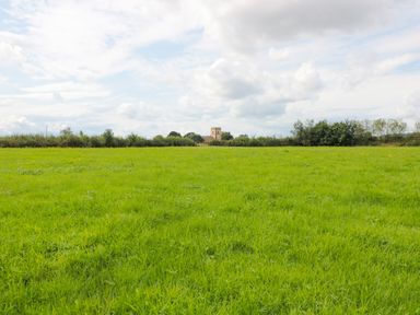 A green grassy field with trees and a building in the distance at Crows Cabin in Gloucester